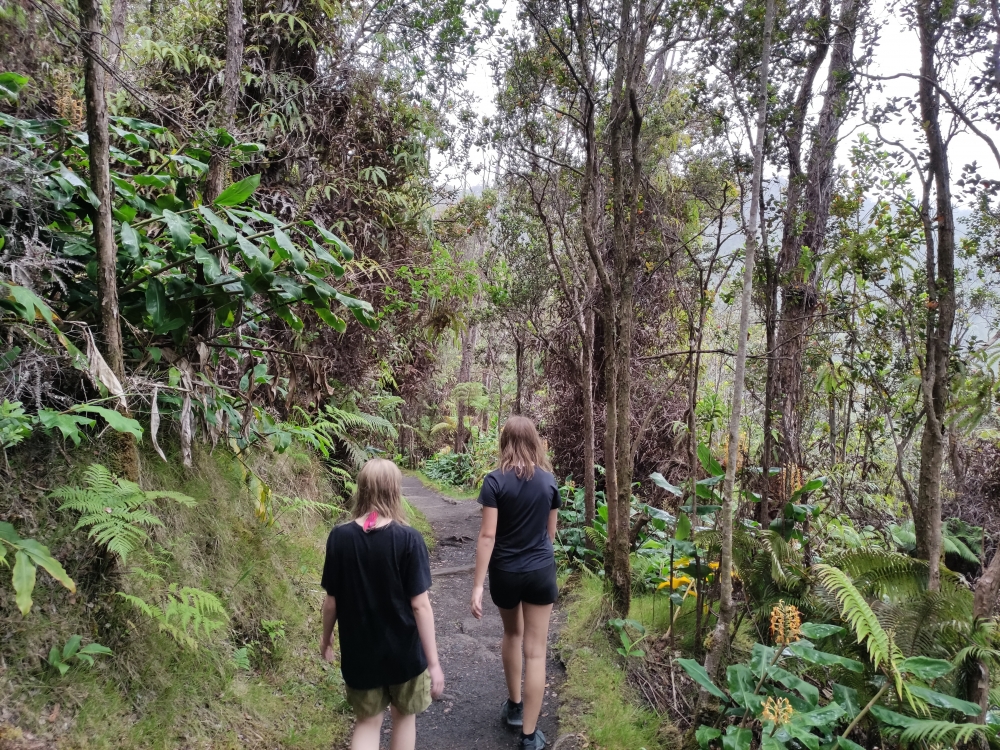 Parkplatz Thurston Lava Tube -> Kilauea Krater: Abstieg in den Krater