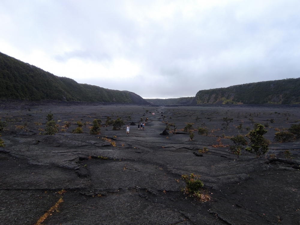 Wanderung Kilauea Krater: Im Krater