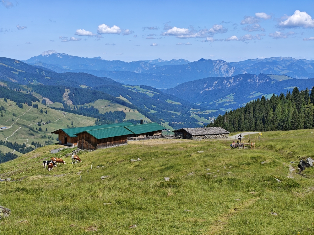 Wanderung Breiteggspitze: Wanderung Breiteggspitze: Kleinneubergalm