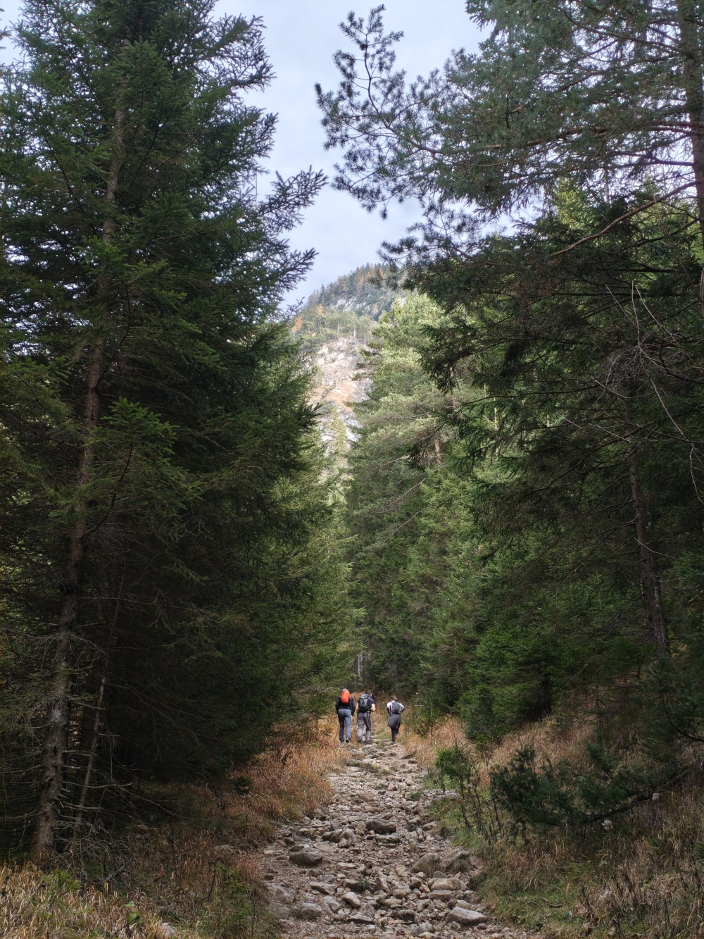 Wanderung Klobenjoch: Wanderweg