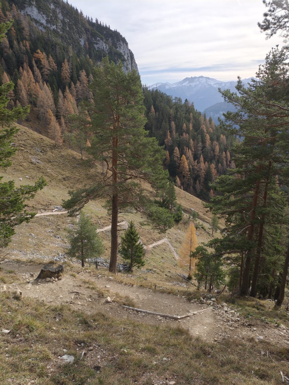 Wanderung Dalfazalm und Wasserfall: Viele Serpentinen