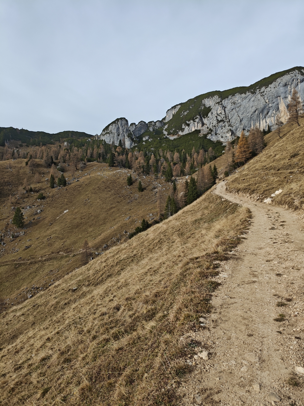 Wanderung Klobenjoch: Fahrweg ab der Alm