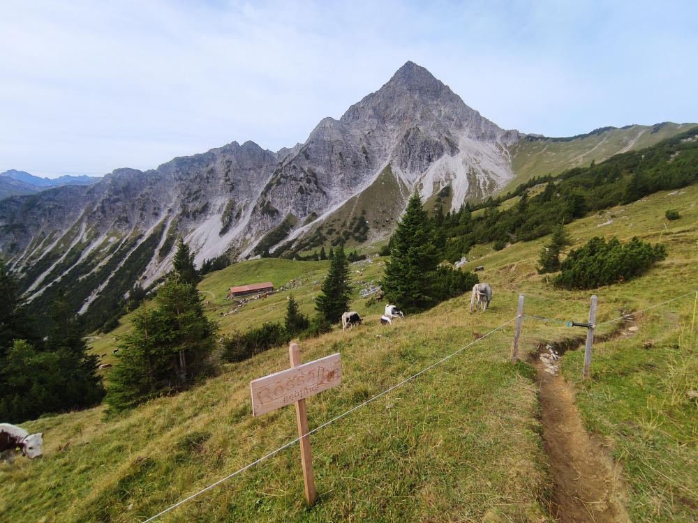 Wanderung Schrecksee vom Vilsalpsee: Blick zur Obere Roßalpe und Gaishorn vom Gipfelkreuz Roßalpe