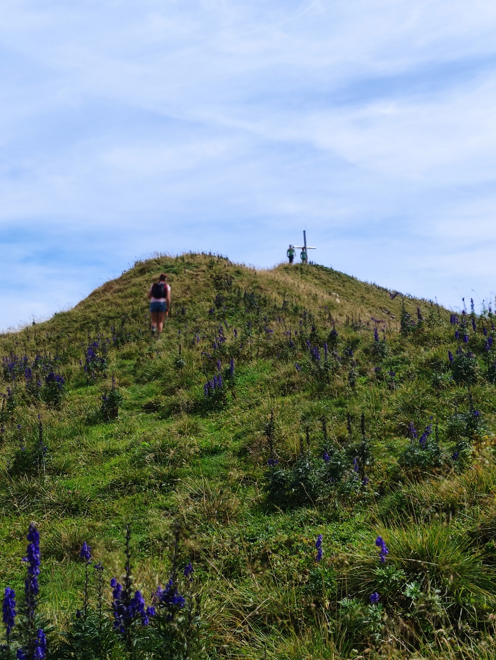 Wanderung Schrecksee vom Vilsalpsee: Zum Gipfel