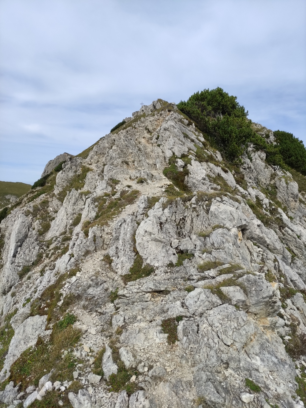 Wanderung Schrecksee vom Vilsalpsee: Aufstieg Steinkarspitze