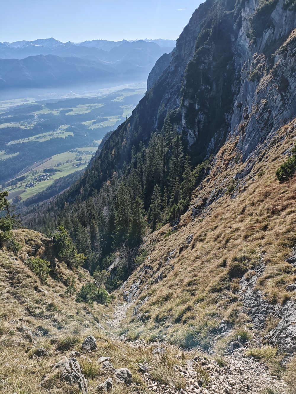 Wanderung Köglhörndl: Weglos durch diese Rinne bergauf