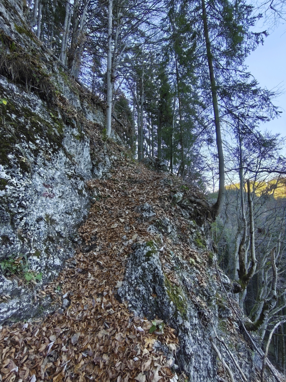 Wanderung Köglhörndl: Tatsächlich nicht schlimm