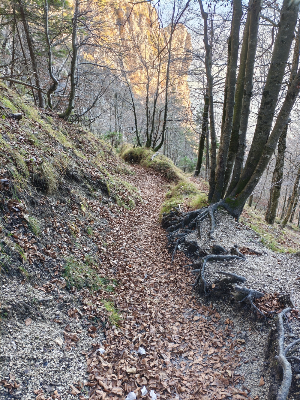 Wanderung Köglhörndl: Weg