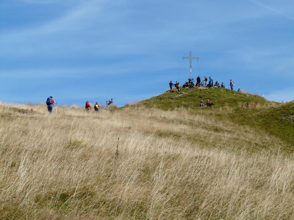 Krinnenspitze -> Gräner Ödenalpe: Am Gipfel