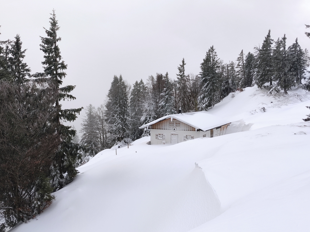 Latschenkopf -> Laichhansen-Alm: Im Winter