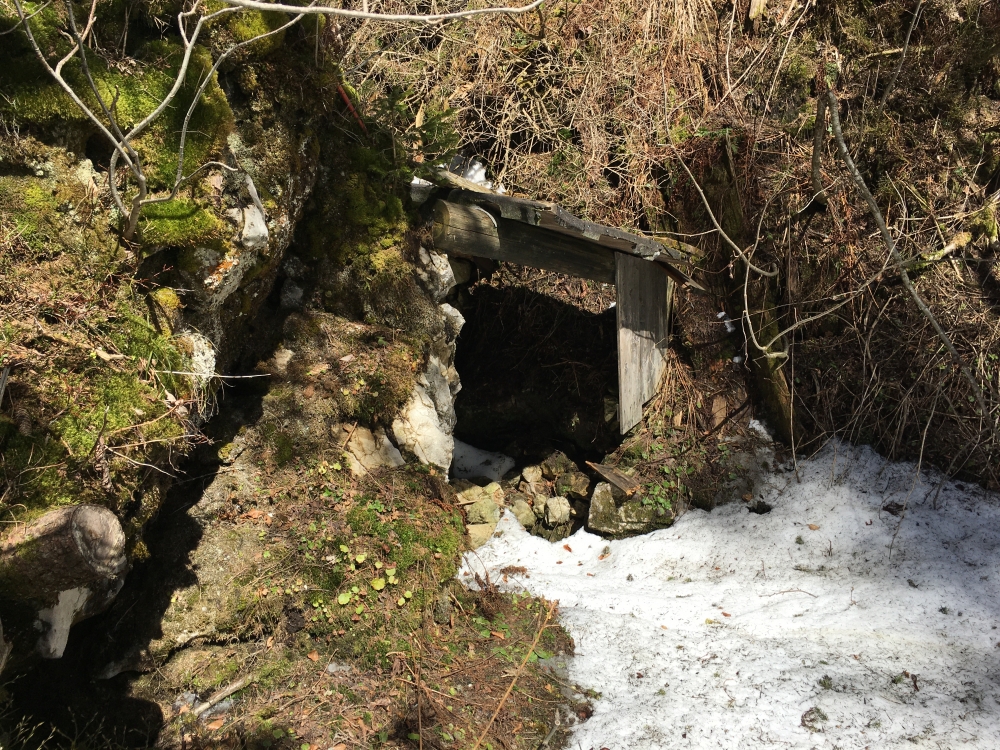 Der überdachte Eingang (Laubensteinponorhöhle)