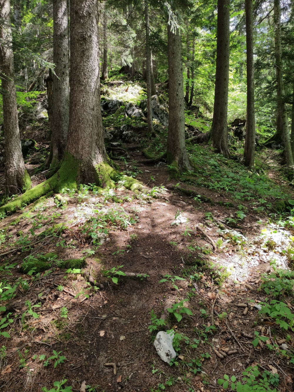 Lenggrieser Hütte -> Bauernrast: Im oberen Teil steil bergauf