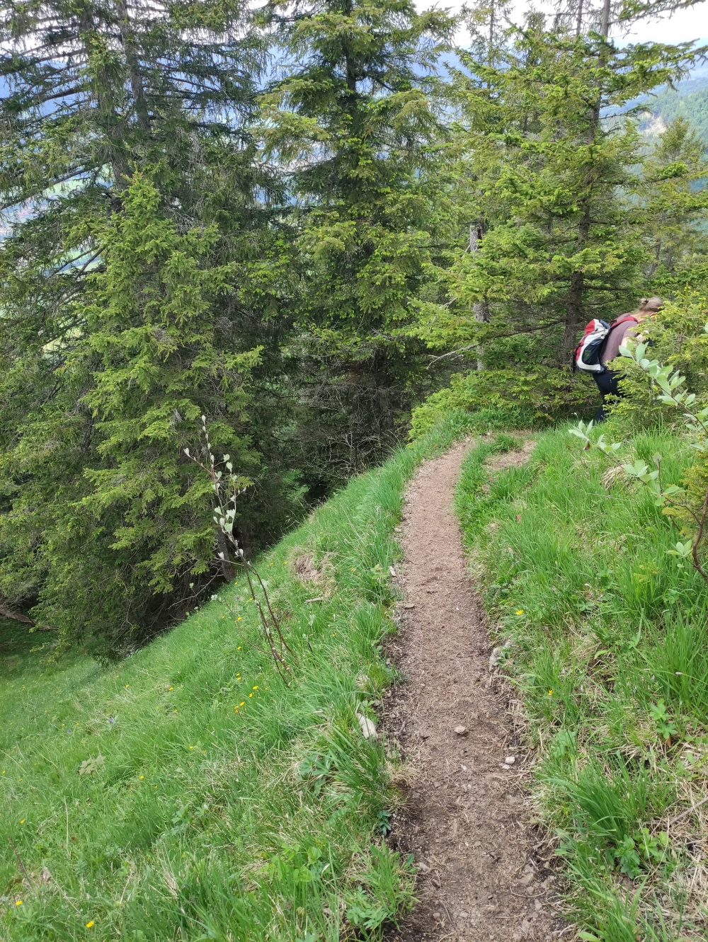 Grasleitenstein -> Wanderparkplatz Höhenreuth: Wanderweg