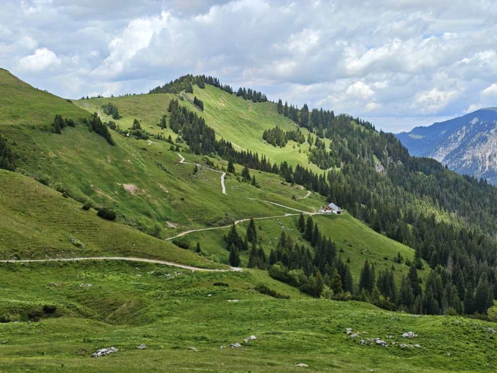 Wanderung Litnisschrofen: Forststraße zurStrindenalpe
