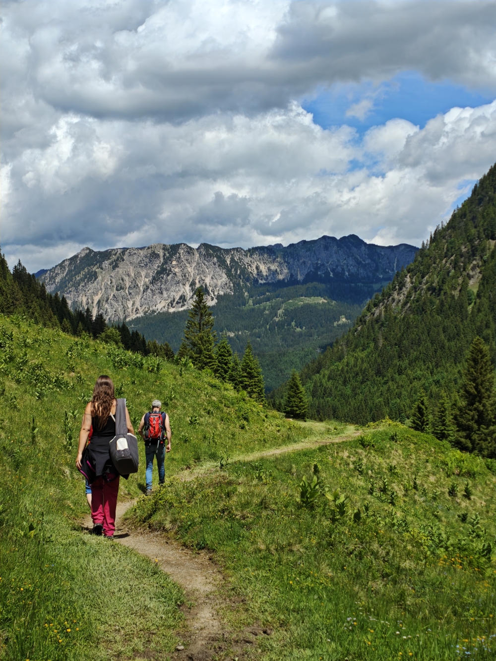 Wanderung Litnisschrofen: Weg
