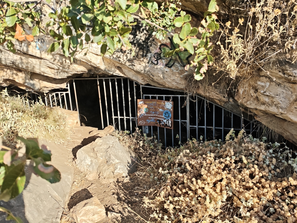 Löwenhöhle: Eingang