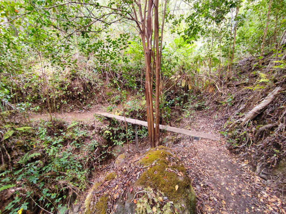 Der Verbindungsweg zwischen beiden Trails ist selten begangen