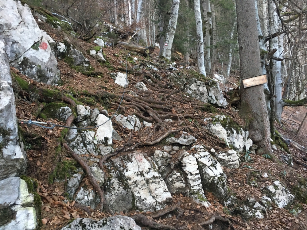 Mittagskogel -> Pfötsching: Oberhalb der Reiteralm