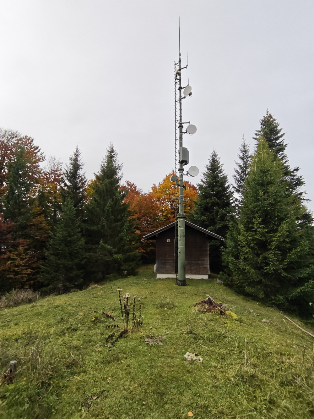 Wanderung Möslalmkreuz: Wanderung Möslalmkreuz: Am Gipfel (Möslalmkogel)