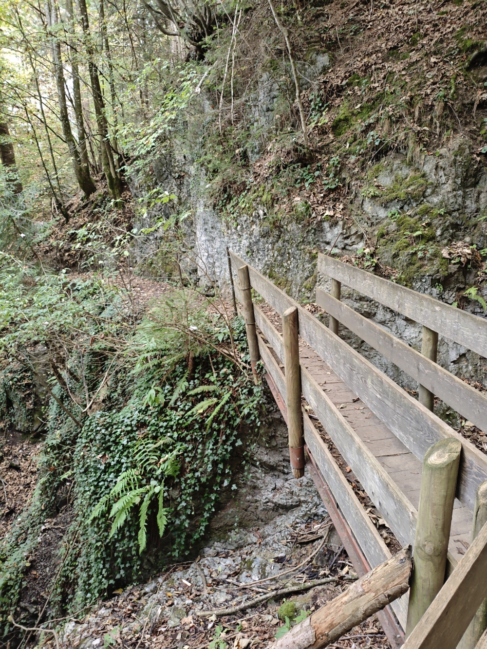 Wanderung Möslalmkreuz: Waldweg