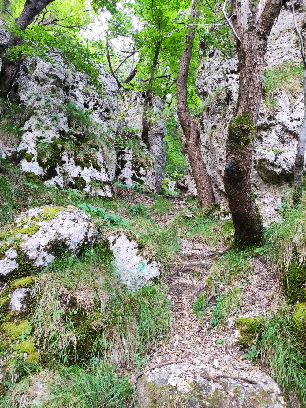 Wanderung Monte Minisfreddo: Felsdurchlass