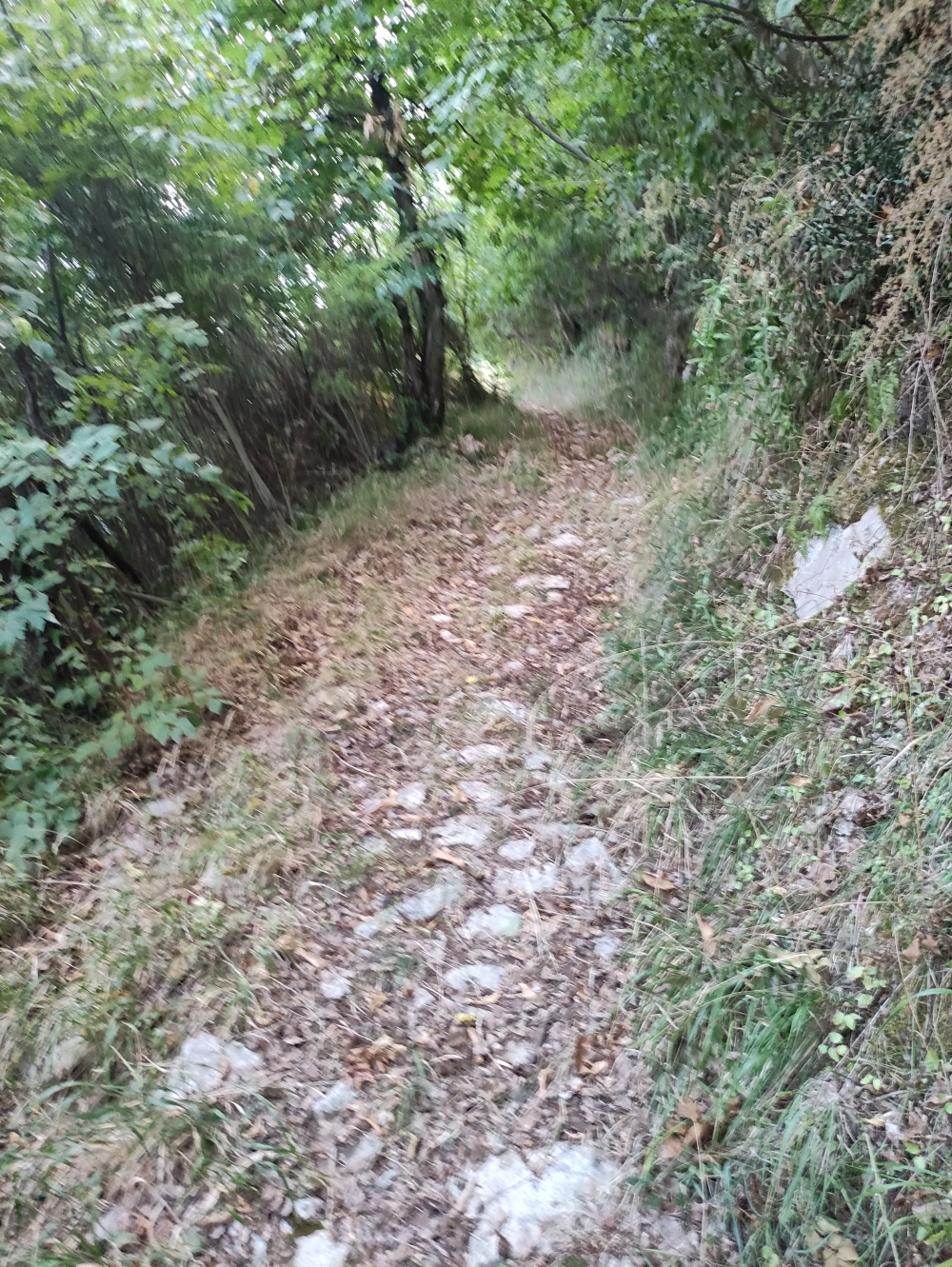 Wanderung Monte Pendolo: Alter Karrenweg