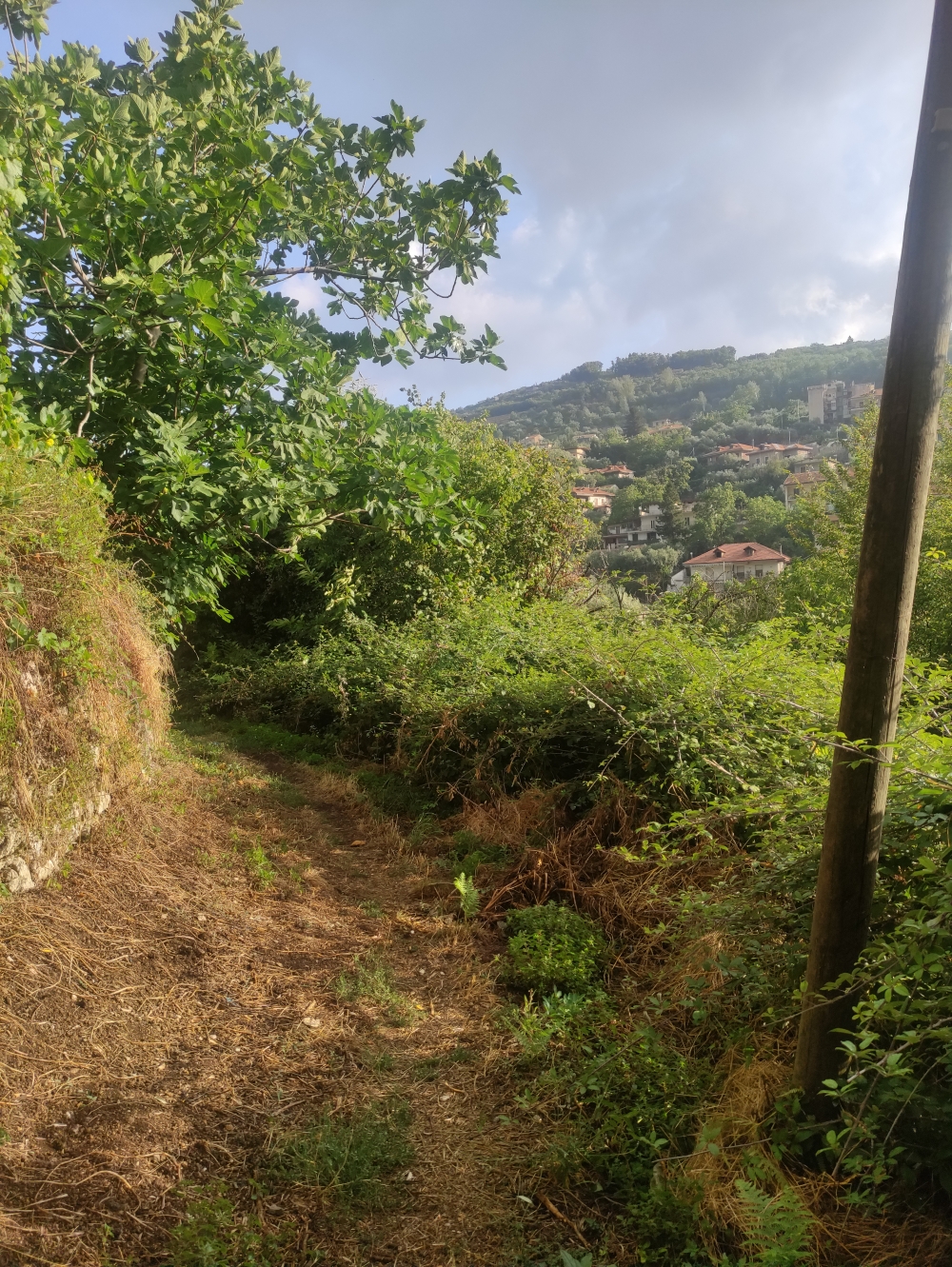 Wanderung Monte Pendolo: Wanderweg-Abschnitt