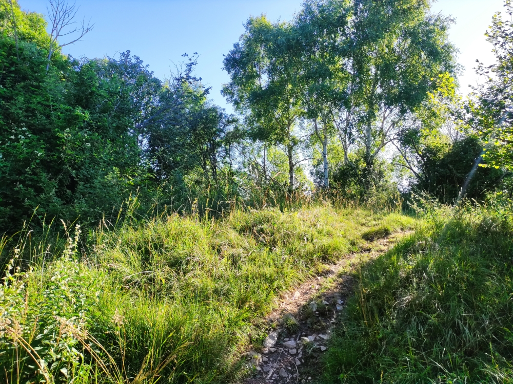 Wanderung Monte Tre Croci: Wanderung Monte Tre Croci: Gipfel (Monte Pizzelle)