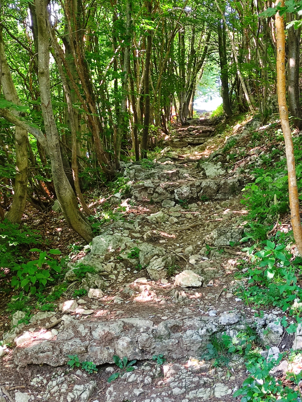 Wanderung Monte Tre Croci: Weg