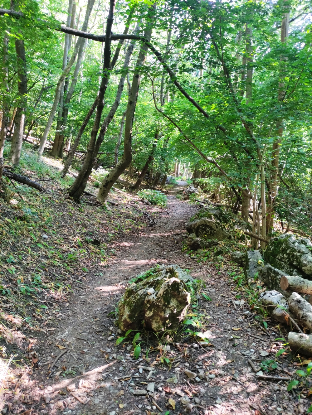 Wanderung Monte Tre Croci: Zum Passo Pizzelle
