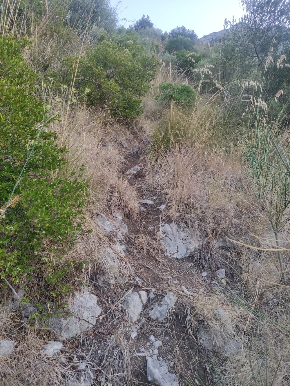 Wanderung Monte Vico Alvano: Pfadspur durch Gras