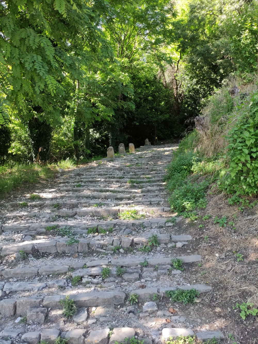 Wanderung Motovun und Parenzana Tunnel: Treppen