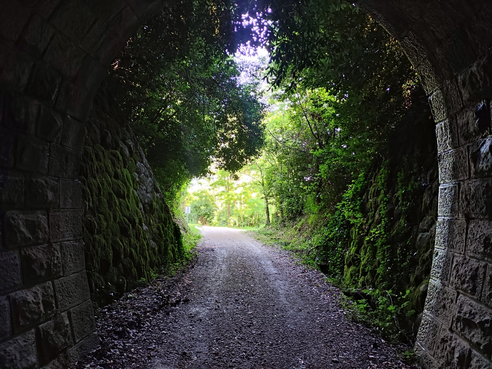 Wanderung Motovun und Parenzana Tunnel: Parenzana kurz vor dem Tunnel