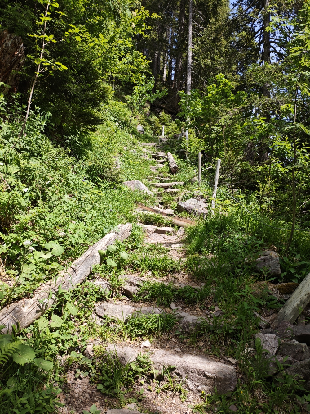 Wanderung Murgseehütte: Abstieg beim Gsponbachfall zum Parkplatz