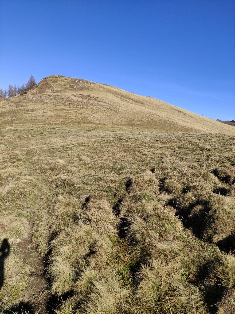 Wanderung Pfälzerhütte nach Steg: Über den Kolm