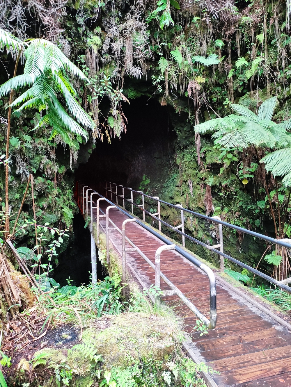 Eingang in den Lavatunnel (Nahuku - Thurston Lava Tube (Eingang))