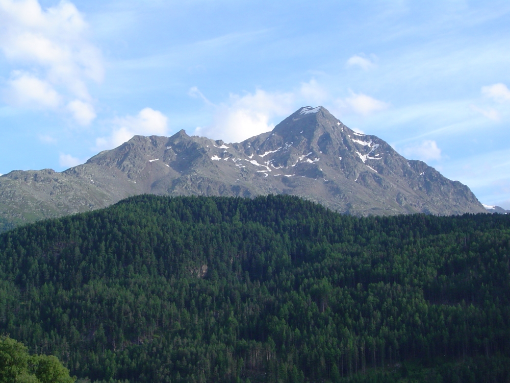 Nederkogel -> Lenzenalm: Nederkogel