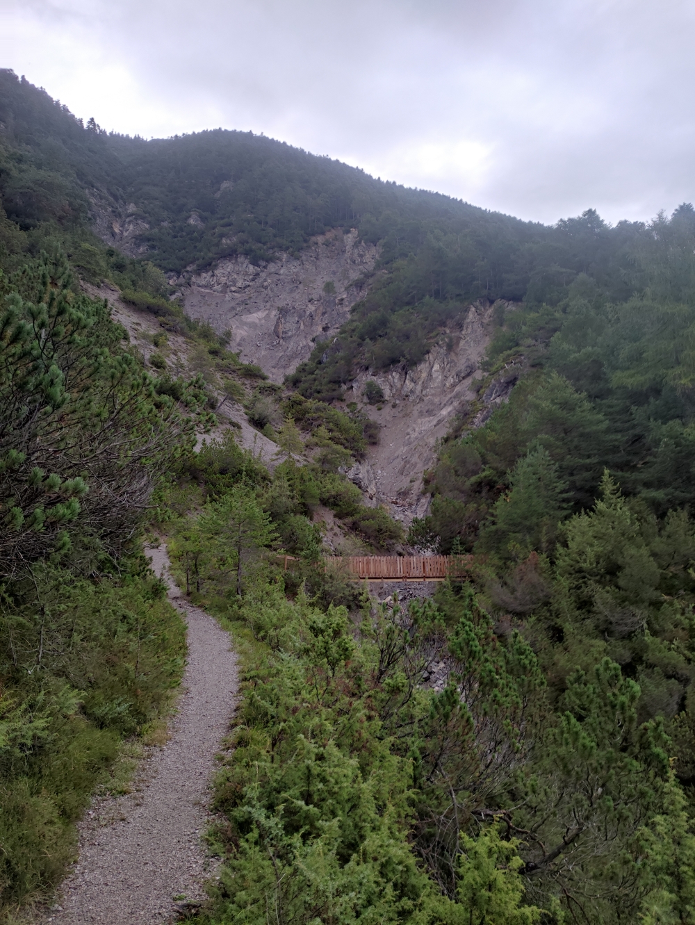 Wanderung Neue Alplhütte: Brücke
