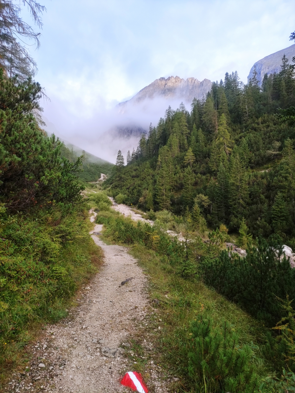 Wanderung Neue Alplhütte: Weg
