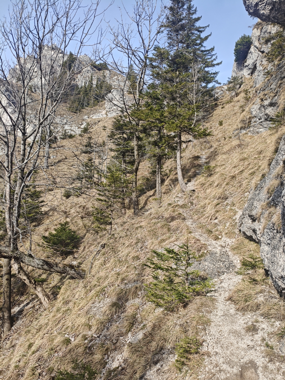 Wanderung Nockstein: Schmaler, steiler Wiesenpfad