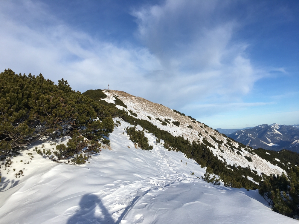 Notkarspitze -> Hasenjöchl: Die letzten Meter zum Gipfel