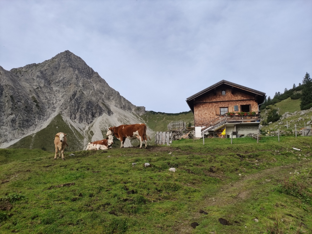 Wanderung Schrecksee vom Vilsalpsee: Wanderung Schrecksee vom Vilsalpsee: Obere Roßalpe