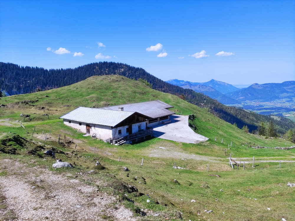 Wanderung Feldberg: Wanderung Feldberg: Obere Scheibenbichlalm