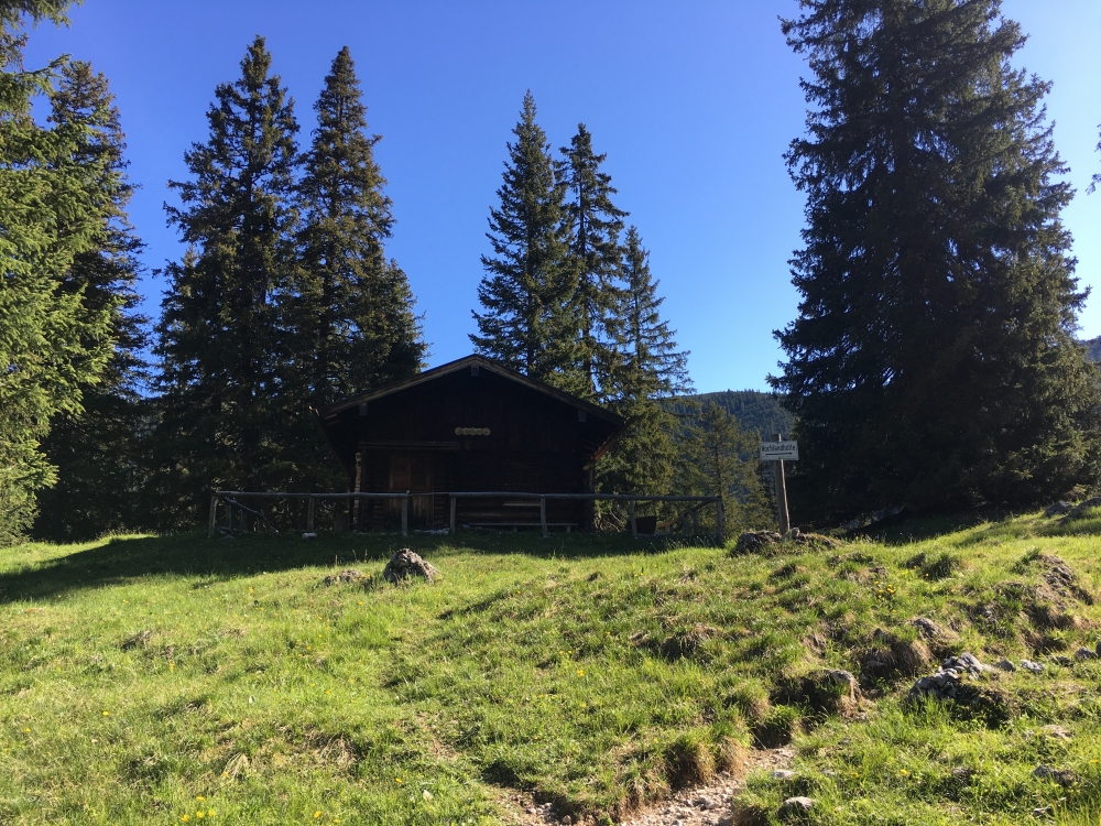 Obere Kälberalm: Die Obere Kälberalm kurz vor der Hochlandhütte
