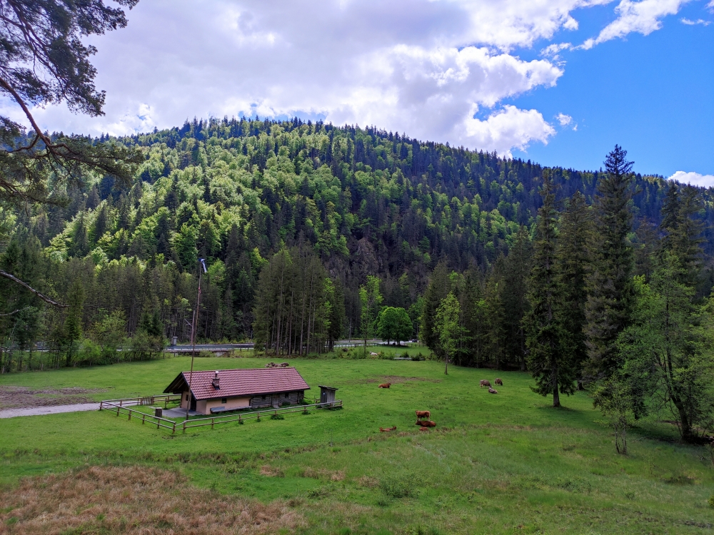 Ochsenhütte: Ochsenhütte