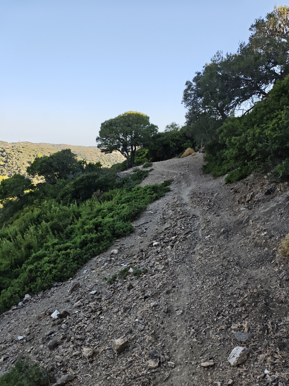 Wanderung Panagia Limbiani: Im letzten Viertel Wanderweg statt Schotterstraße 