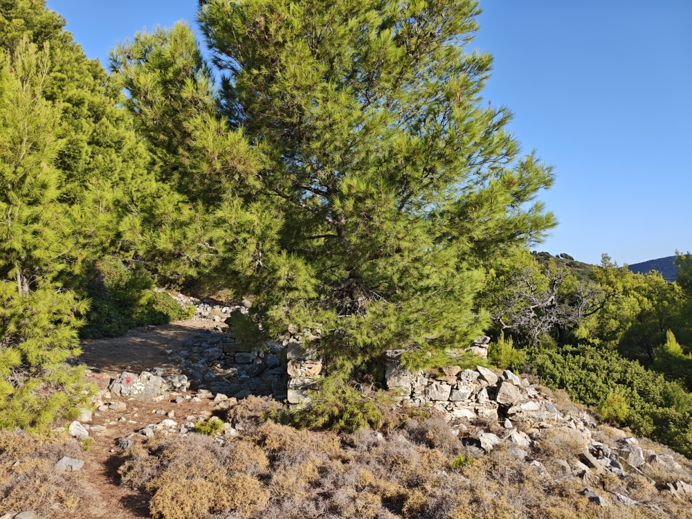 Wanderung Panagia Limbiani: Rote Punkte auf dem Wanderweg 