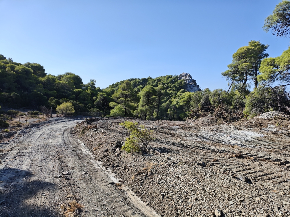 Wanderung Panagia Limbiani: Im oberen Teil leider eine hässliche Feuerschneise 