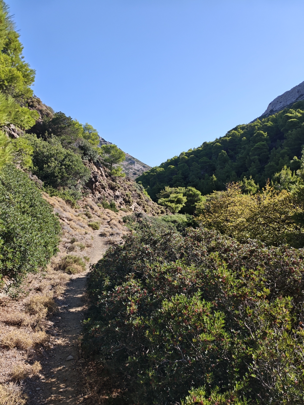 Wanderung Panagia Limbiani: Am Ende durch ein idyllisches Bachtal