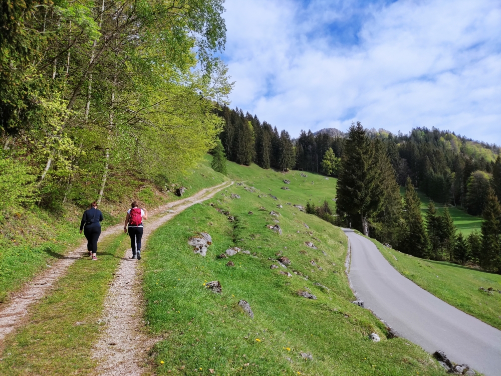 Wanderung Pasterkopf: Sanfter Anstieg